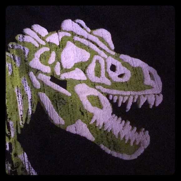 🦖T Rex Sweatshirt 2XL hooded zip Boys Dino fan🦖 - Picture 3 of 4